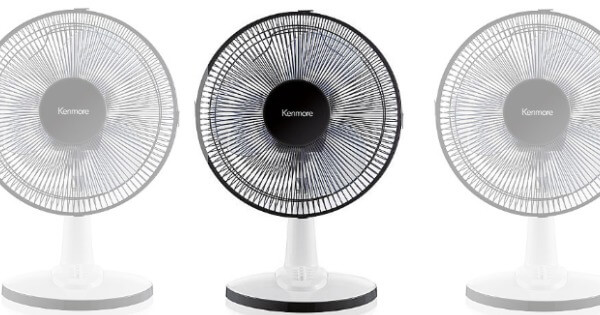 fan