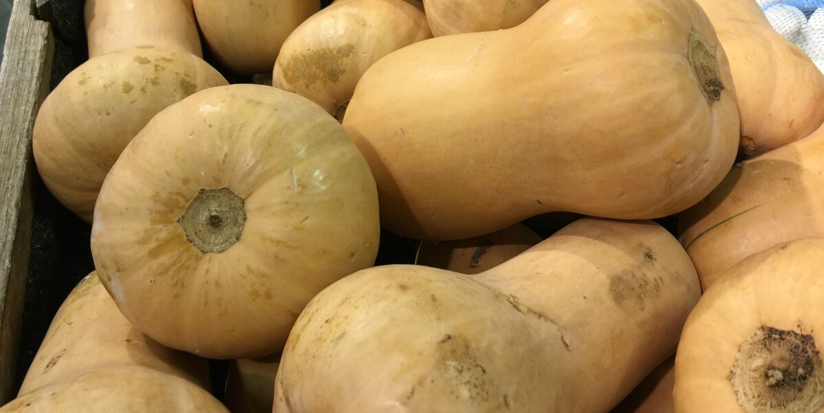 butternut-squash