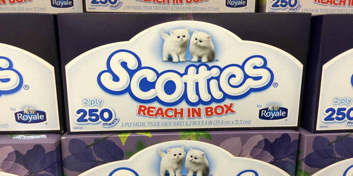 scotties