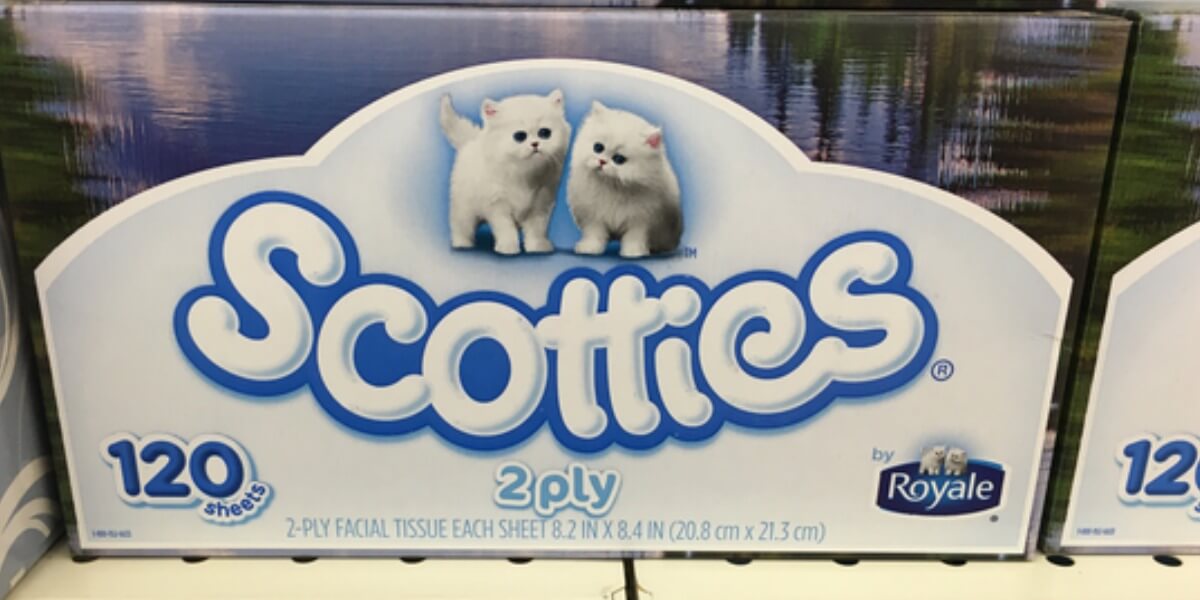 scotties