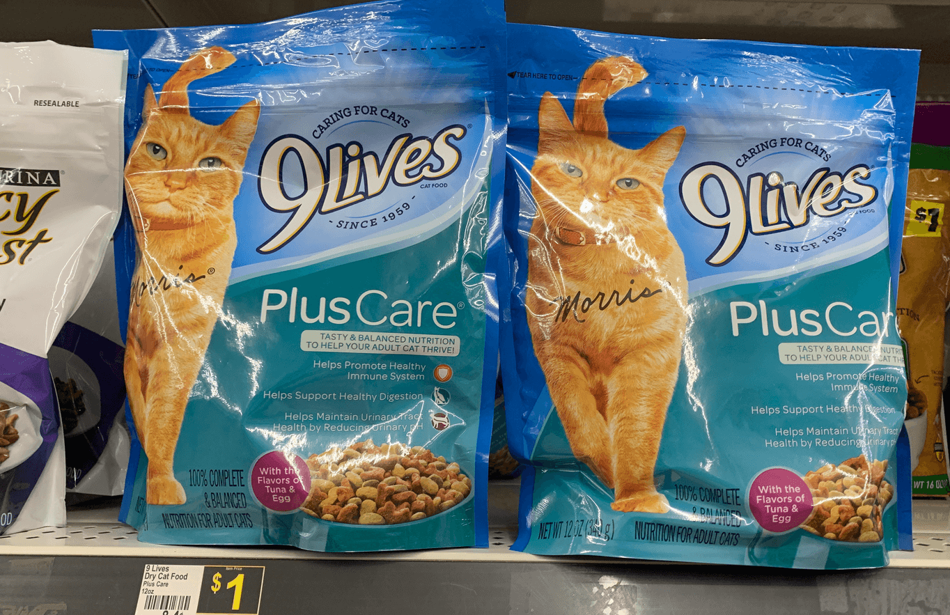 9Lives Dry Cat Food at Dollar General 