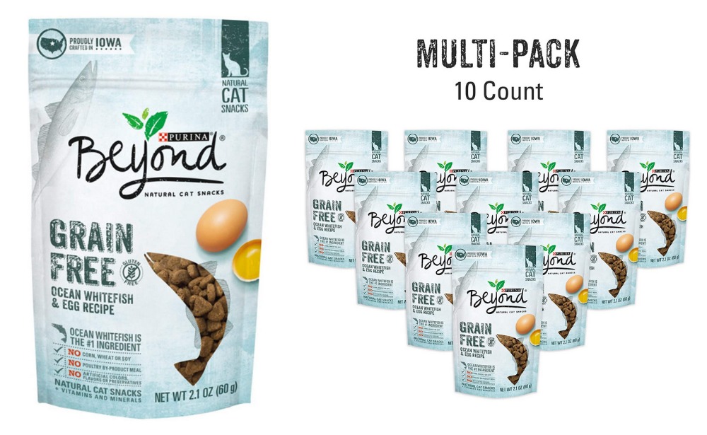 beyond cat treats