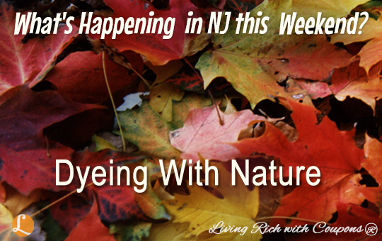 Dyeing With Nature 11-15-14