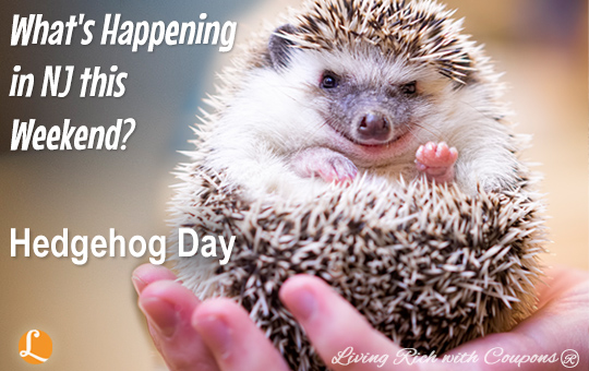 Hedgehog Day