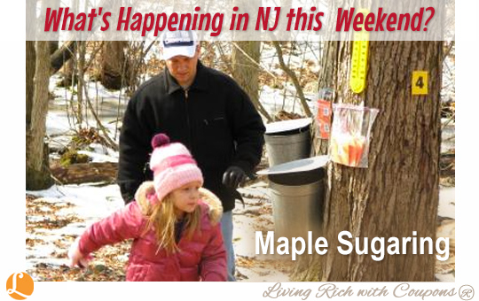 Maple Sugaring 1-17-15