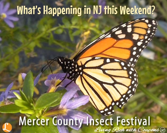 Mercer County Insect Festival 9-6-14