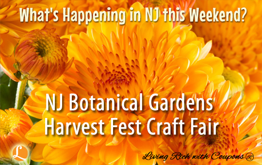 What's Happening in NJ this Weekend