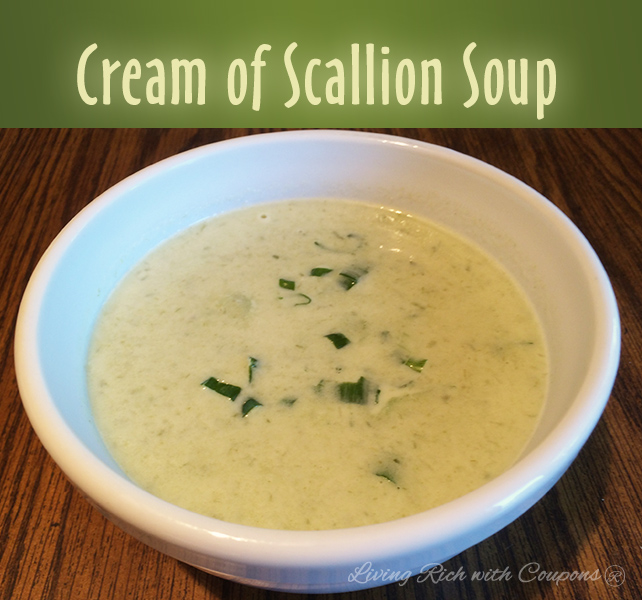 cream of scallion soup