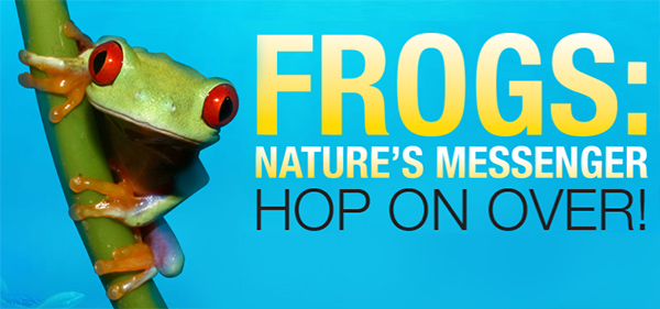 frogs - NJ Happenings 1-18-14