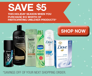 LEVWKN14129_Holiday_Banner_Ad_300x250_R3