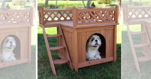 Room With A View Dog House 73 21 Reg 167 99 Free