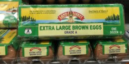 Land O Lakes Extra Large Brown Eggs Just $1.99 at ShopRite!{ No Coupons Needed}