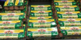 Land O Lakes Large Brown Eggs Just $1.94 at ShopRite! {Swagbucks}