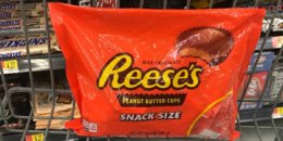 Today Only! Reese's Snack Size Bags only $1.60 each at Walgreens