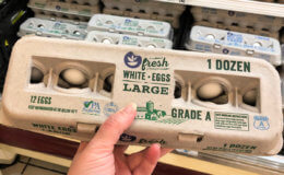 Get $2.50 Cash Back on Any Egg Purchase | Fridays in February with Ibotta