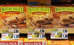 ShopRite Shoppers-Nature Valley Granola Bars, General Mills Cereal Treat Bars & Betty Crocker Fruit Snacks as Low as $0.99! {Rebates}