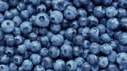 Sweet Blueberries 18oz Only $2.99 at ShopRite!