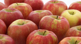 HoneyCrisp Apples Just $0.99 per pound at ShopRite!