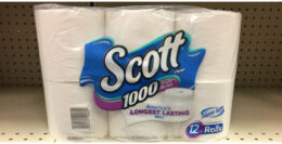 Scott Bath Tissue 12pk as Low as  $5.99 at ShopRite! {Rebates}