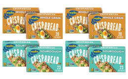 Wasa Crispbread Crackers as low as $0.39 at ShopRite! {Rebates}