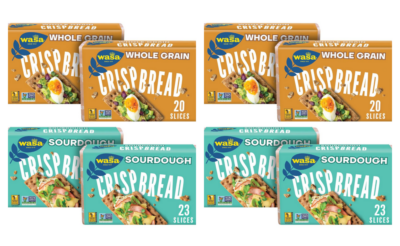 Wasa Crispbread Crackers as low as $0.39 at ShopRite! {Rebates}