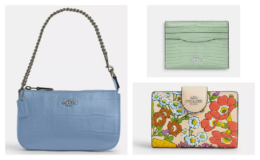Coach Outlet 70% Off Sale + Extra 15% Off  | Wallets $45 (reg. $178)