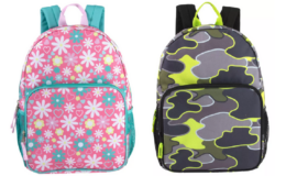 HOT Price on a Backpack | Summit Ridge Backpacks just $5.00 at Target!