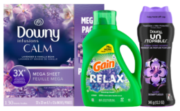 $15 for $33 worth of Gain & Downy at Stop & Shop {Instant Savings}