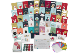 Limited Time Deal! 100 Christmas Cards with Envelopes | $0.28 per card!