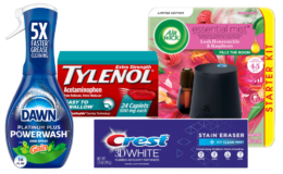 New $5/$25 Dollar General Coupon | $8.35 for $26.35 in Dawn, Air Wick & more | Just Use Your Phone! {11/2 ONLY}