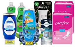 New $5/$25 Dollar General Coupon | $3.40 for $25.20 in Gain, Dawn, Carefree & more | Just Use Your Phone! {10/12 ONLY}