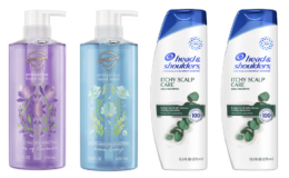 Double Dip! Pay $4.50 for $20 in Safeguard Hand Soap & Head & Shoulders at Walgreens!