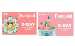 $20 Target GiftCard with Disney Land Resort Ticket at Target