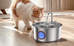 44% off Stainless Steel Cat Water Fountain on Amazon | Under $16!