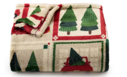 Kohl's Early Black Friday 3 Day Sale - Big One Throw or Pillow 2 Pack Just $8.49 (Reg. $14.99)