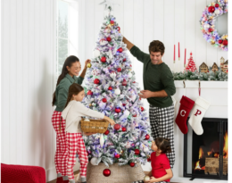 Walmart Black Friday | Best Choice 6ft Prelit Flocked Christmas Tree $99.99