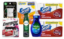 New $5/$25 Dollar General Coupon | $9.50 for $30 in Scott, Febreze, Energizer & more | Just Use Your Phone! {12/21 ONLY}