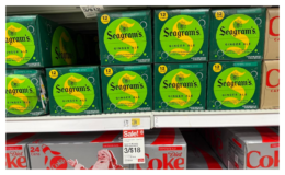 Seagrams Ginger Ale 12 pks as low as $3.50 at Target! {Ibotta}