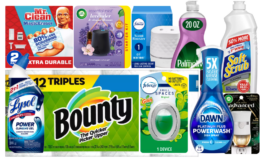 BONUS Circle Coupon at Target | Pay $18.25 for $60 in Household!