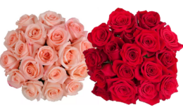 Get 18 Roses at Sam's Club for $15.87 for Valentines Day!